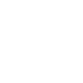 Xerographic Systems website by Belugga