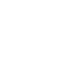 Xerographic